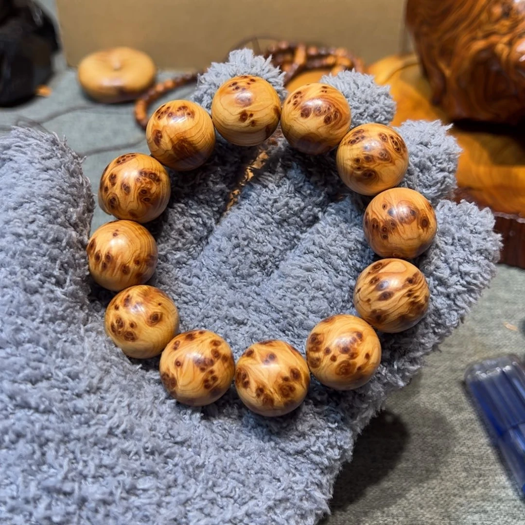 太行崖柏陈化太行