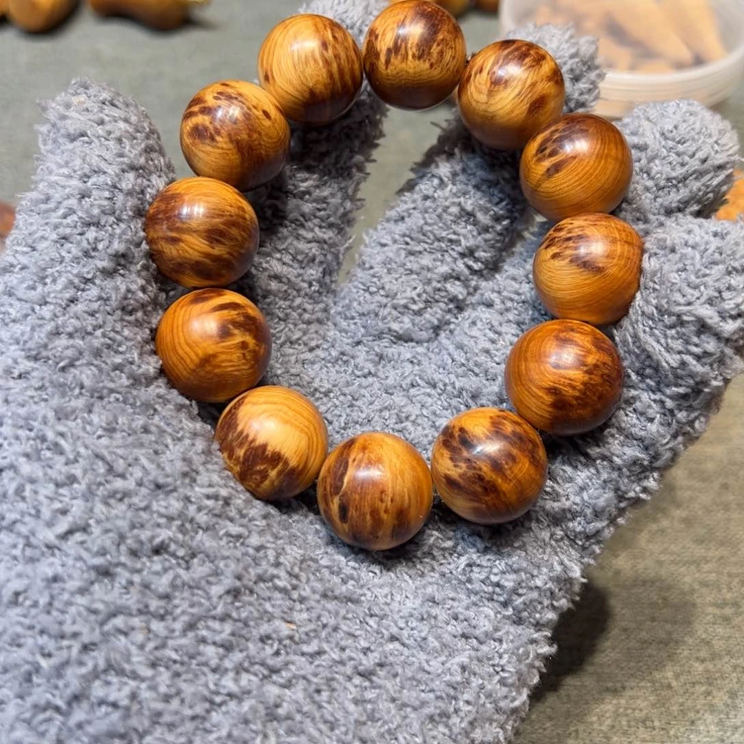 太行崖柏陈化太行