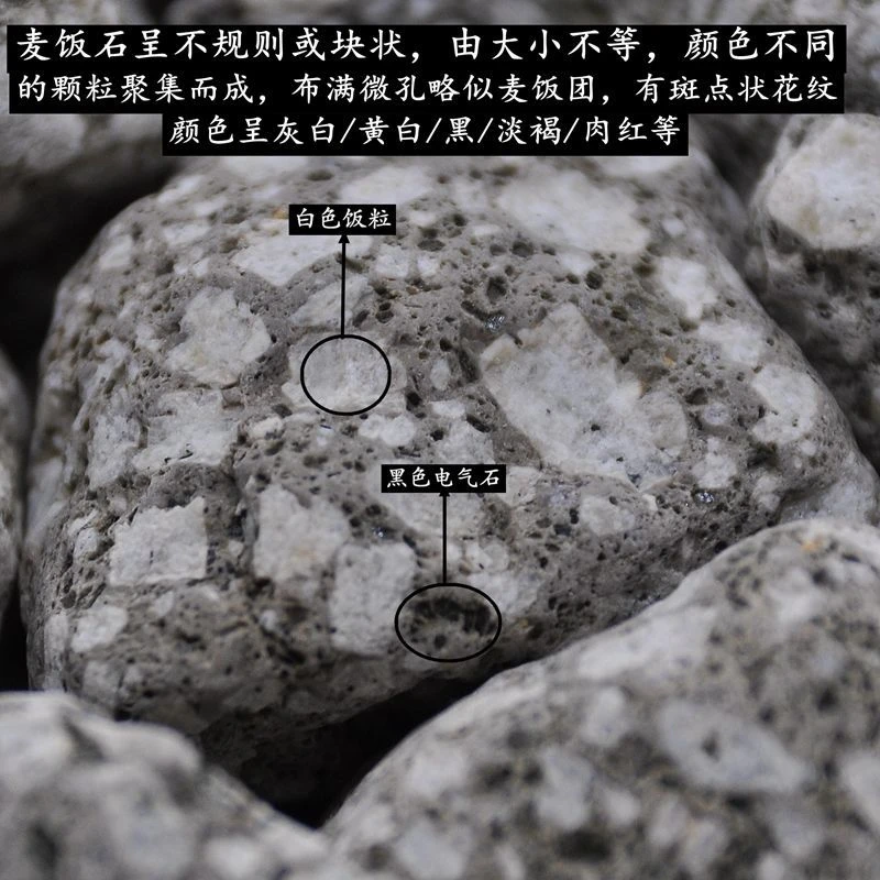 正宗蒙阴大饭粒麦饭石颗粒净水净化水族过滤纯天然