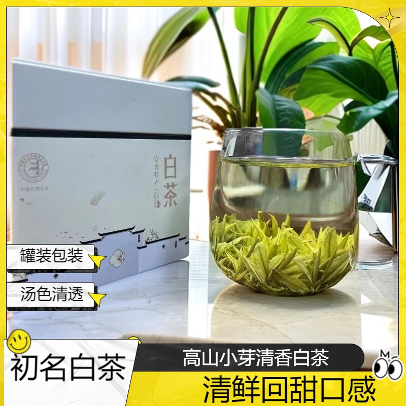 安吉白茶明前小芽#2025年原产地高山小芽清香白茶甘甜