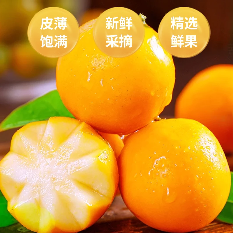 【实惠尝鲜】3斤装融安滑皮金桔优惠福利装清甜爽口小果尝鲜实惠