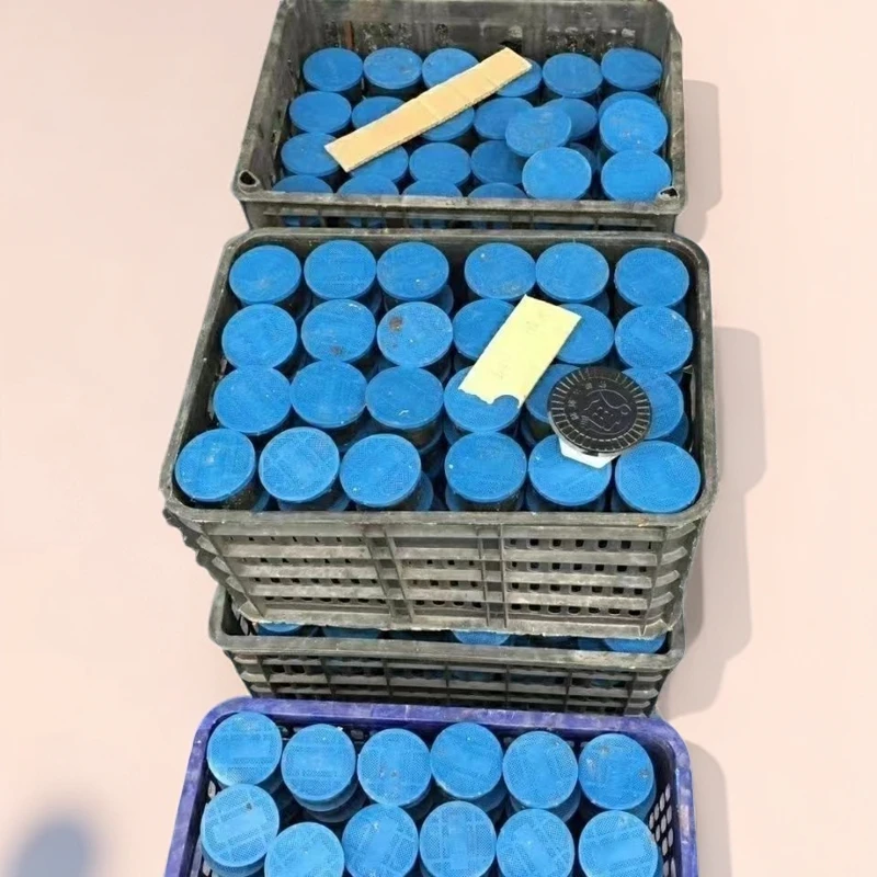 野钓垂钓活饵盒装蚯蚓鱼饵活体钓鱼饵料新鲜饲料牛粪蚯蚓独特腥味