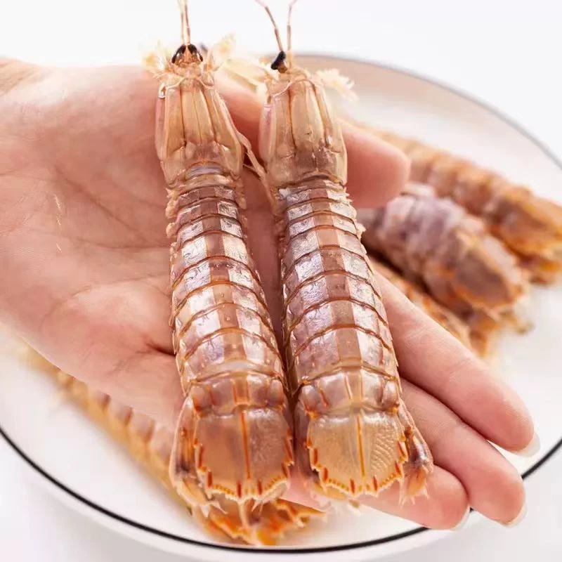 （颐高店）皮皮虾 虾爬子 5斤（保鲜不包活）临沂同城送到家
