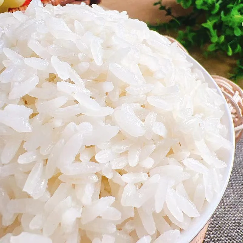 【琦琦代购】东北五常大米长粒香包邮