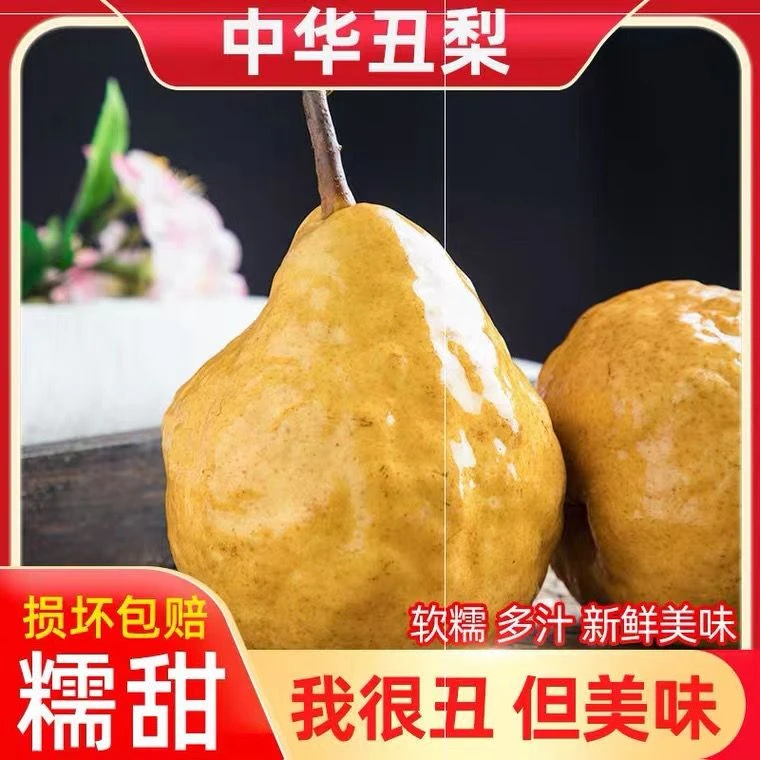 烟台中华丑梨3-9斤梨子新鲜太婆啤梨当季水果秋月苹果梨产地直发