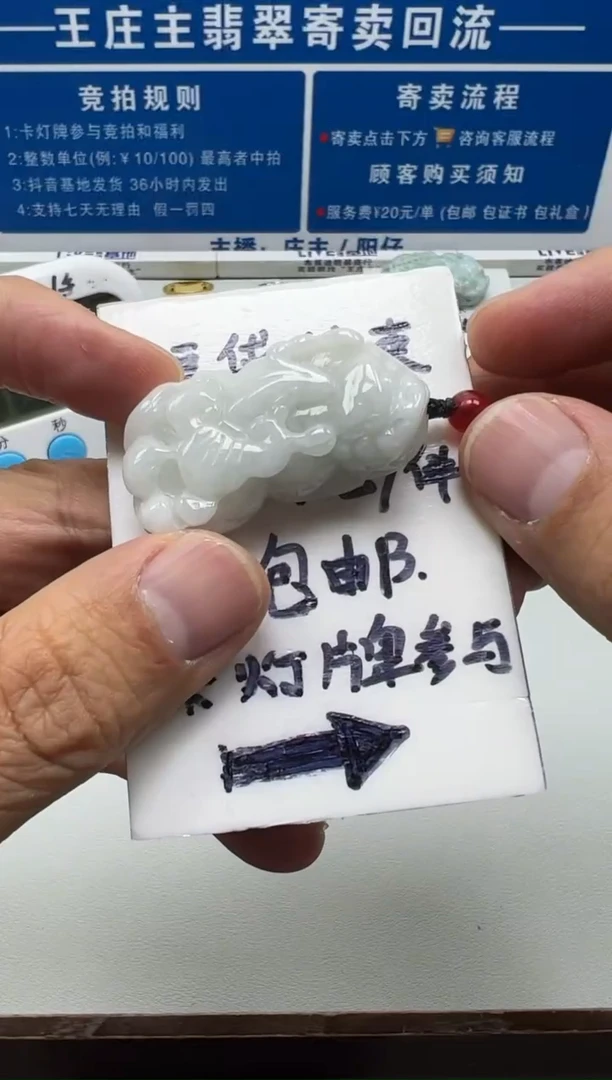 【闪购商品】翡翠挂件未镶嵌