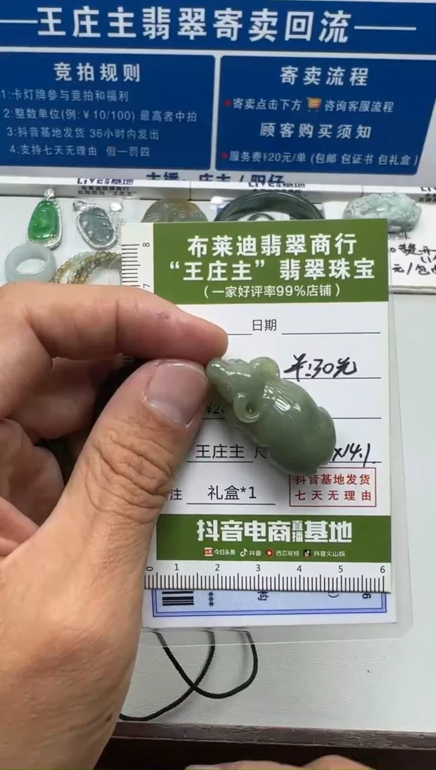 【闪购商品】翡翠挂件未镶嵌