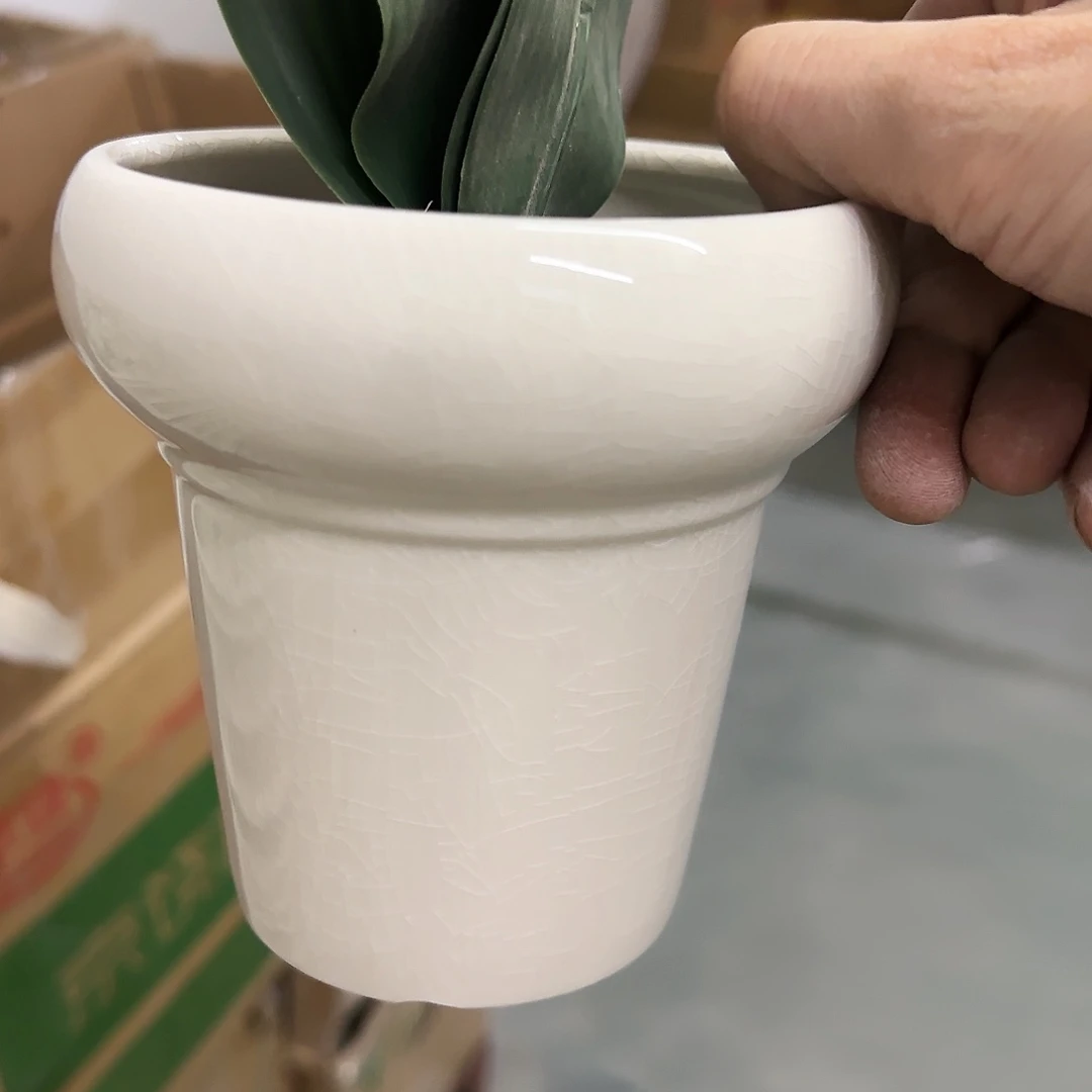 红陶20CM（含）-50CM（不含）