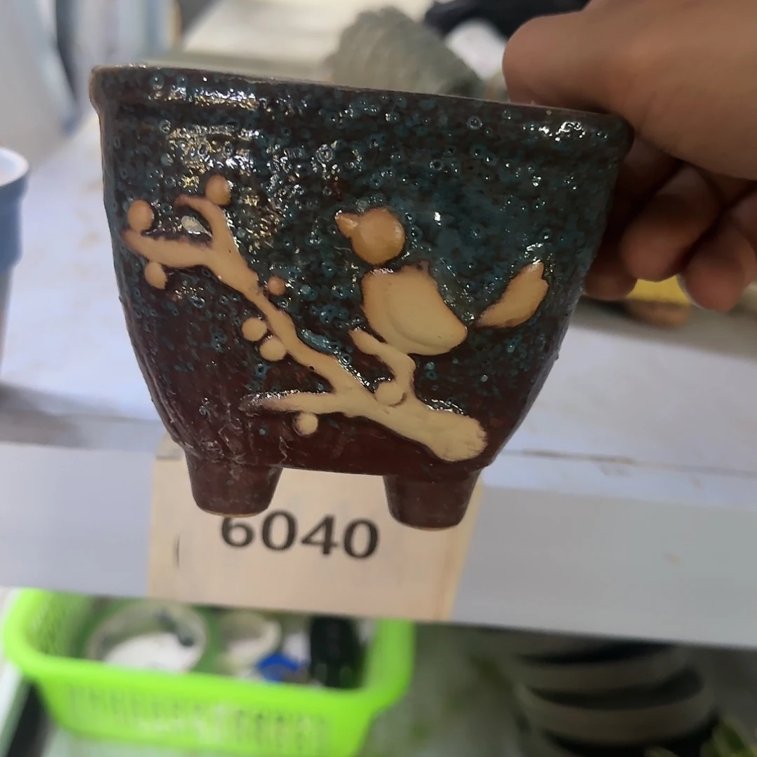 红陶20CM（含）-50CM（不含）