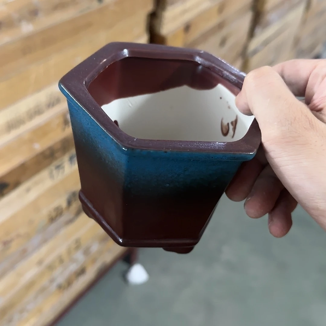 红陶20CM（含）-50CM（不含）