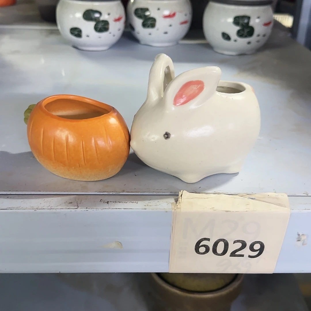 红陶20CM（含）-50CM（不含）2个