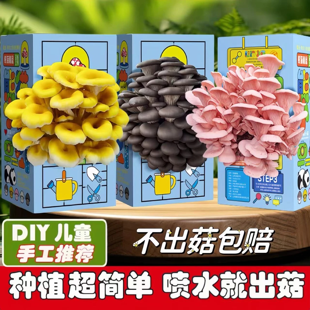 蘑菇菌包种植盒儿童植物生长观察日记科学小实验小朋友手工玩具