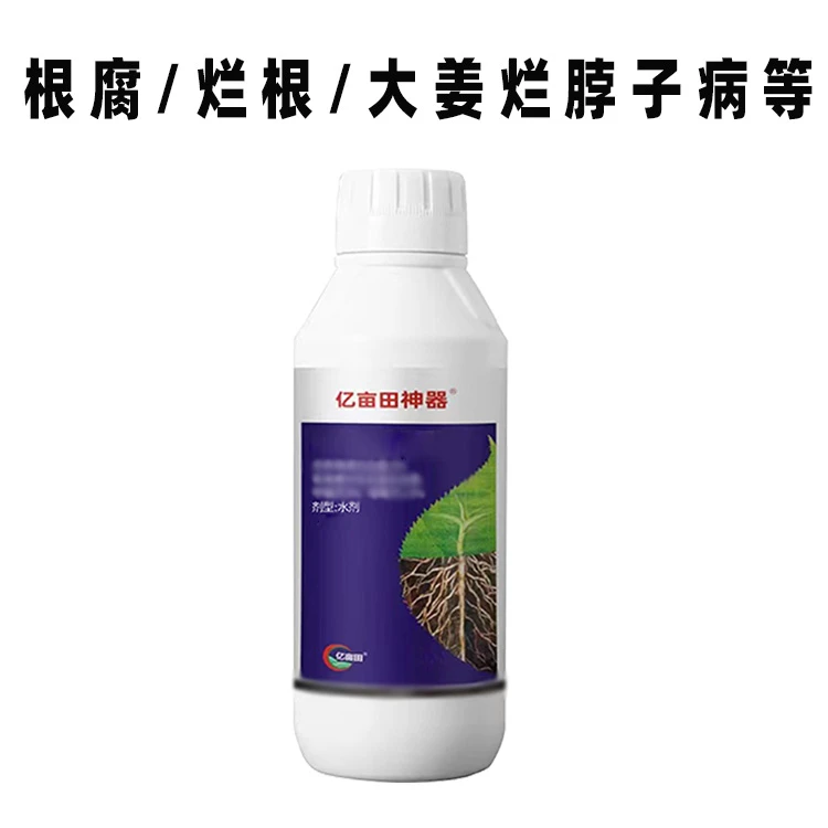 10月防治作物根腐烂根1000克喷施灌根