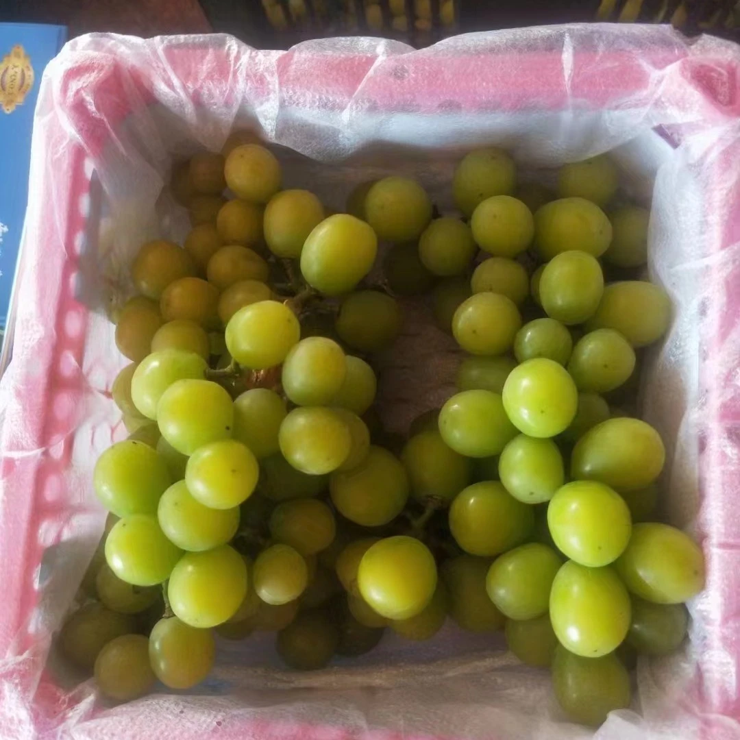 阳光玫瑰 带箱2.5斤左右 净重2斤左右