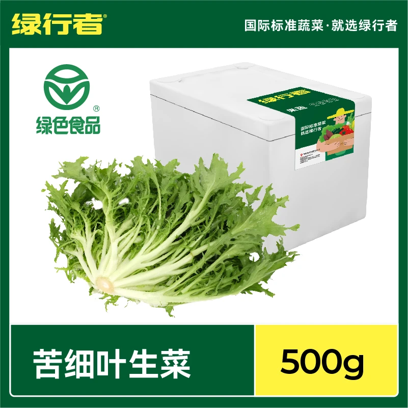 【绿行者】山东苦细叶生菜苦菊1斤装蔬菜沙拉蔬菜满3件包邮 爽口