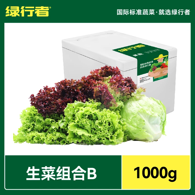 【绿行者】山东新鲜生菜组合2斤3种生菜轻食蔬菜包烤肉拌沙拉清脆