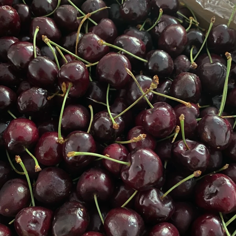 新春特惠三斤装单勾纯冰车厘子