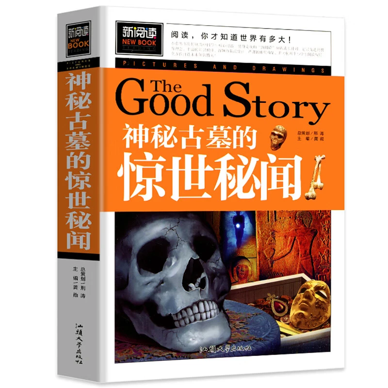 神秘古墓的惊世秘闻 青少版新阅读小学生课外阅读书籍三四五六年