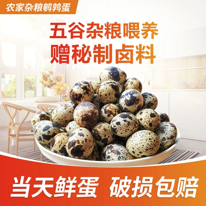 鹌鹑蛋生蛋杂粮生鲜蛋鹌鹑蛋鹑鸟蛋
