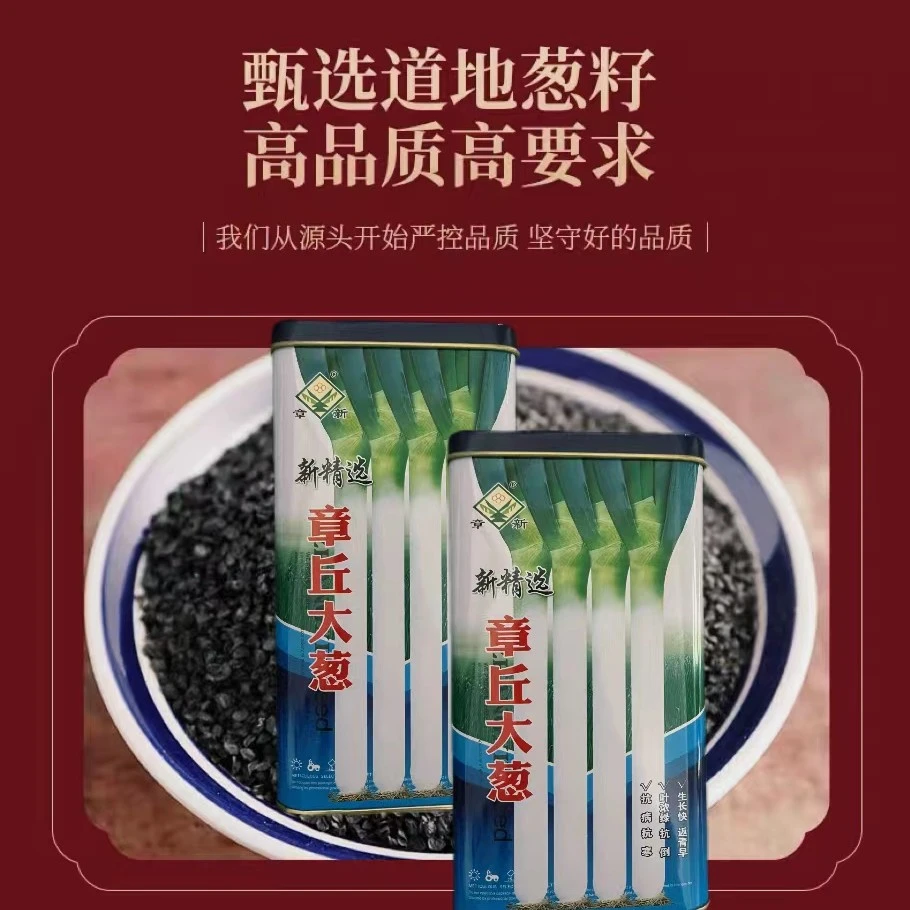 正宗章丘大葱种子绣惠源产地发货高白甜脆送栽培技术书