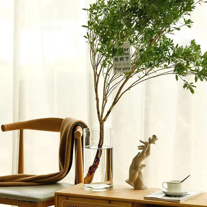 落地玻璃花瓶加厚透明直筒文昌竹龟背竹富贵竹带插花雪柳鲜枝水养