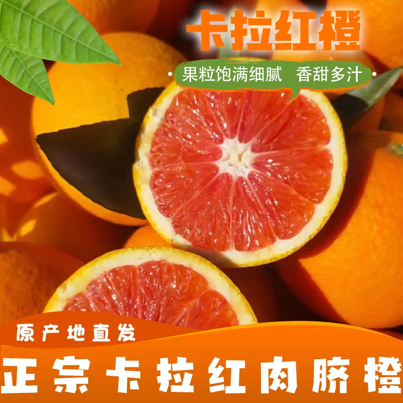 中华红橙卡拉卡拉红肉脐橙绿色食品健康美味生态果园鲜采直发