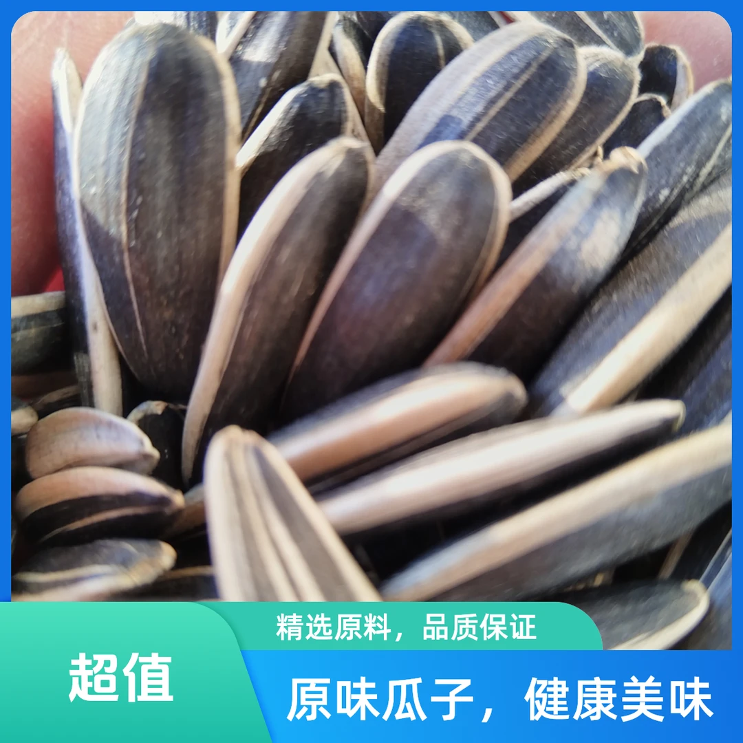 农家自产的大颗粒葵花籽。生葵花籽。生吃开胃。是绿色健康食品。。