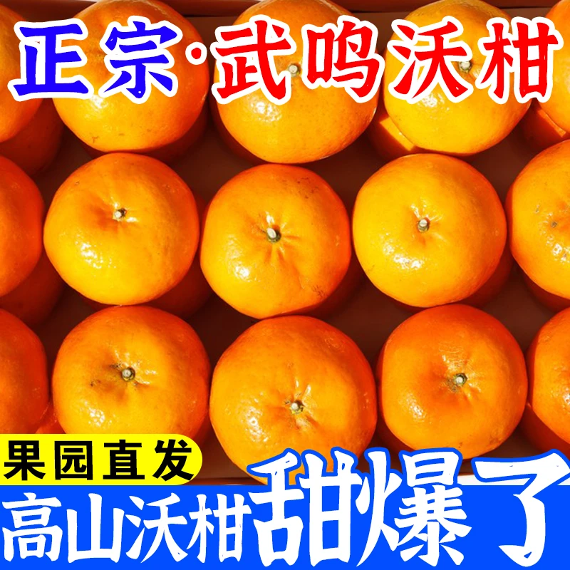 【现货】广西武鸣沃柑正宗爆甜多汁新鲜桔子当季水果沃甘橘子批发