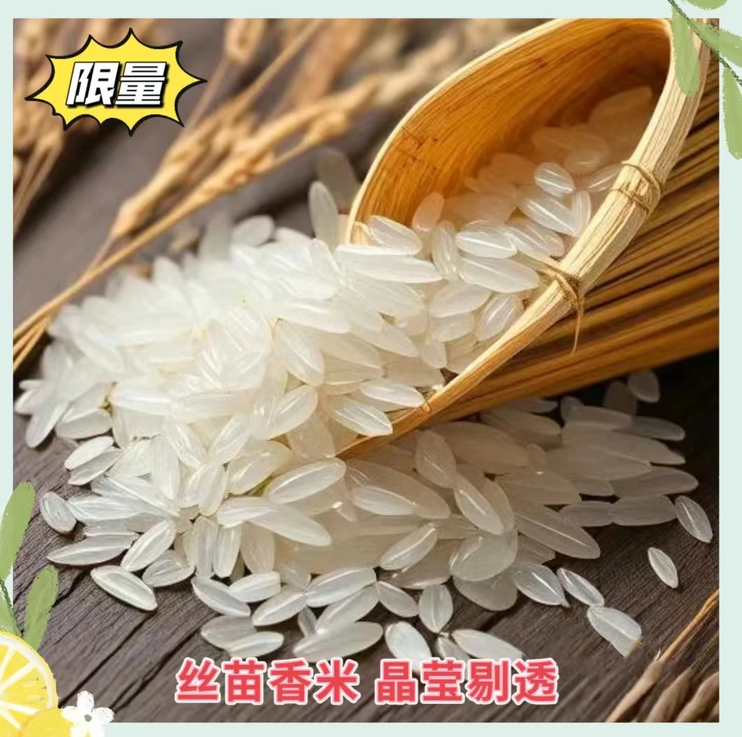 【粉丝】长粒丝苗米猫牙米新米10斤20斤软糯香甜生态大米清香可口