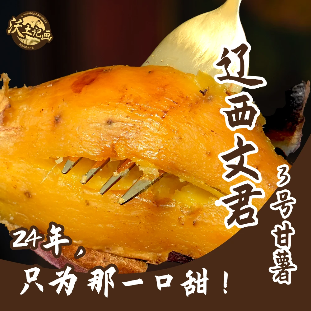 LXWJ/辽西文君3号精品薯健康种植软糯甜蜜地瓜净重4.5斤肉厚东北