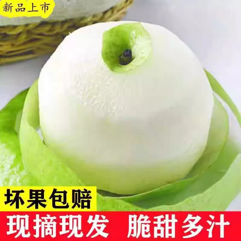 砀山青皮梨子皇冠梨脆甜无渣汁水浓新鲜水果梨子5斤爽口