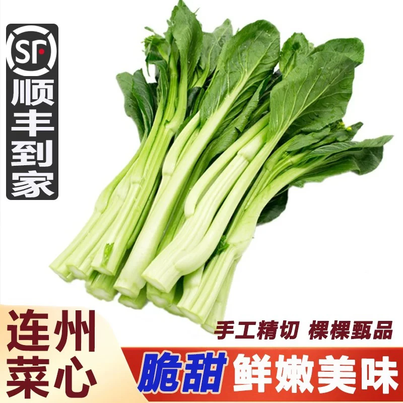 正宗连州菜心当季新鲜蔬菜时令迟菜心广东连州特产现摘绿叶甜菜心