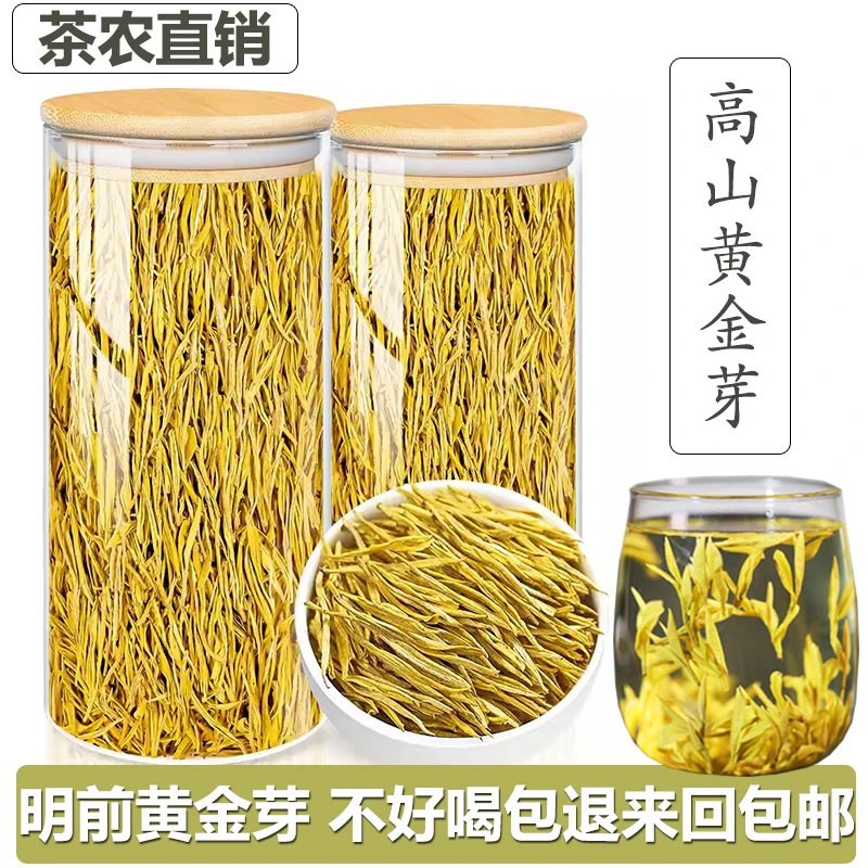 正宗黄金芽茶叶2023新茶明前绿茶一芽两叶雨前茶叶浓香型批发送礼