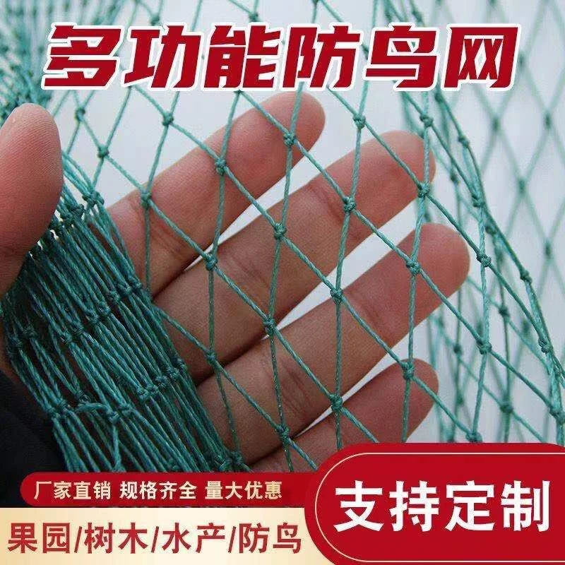 防鸟用网果园防鸟网天网果树樱桃葡萄鱼塘大棚防护尼龙网养殖网