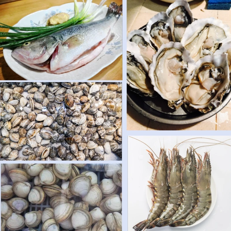 周末4人海鲜套餐（鲈鱼·大明虾·花甲·文哈·生蚝，配蘸料）