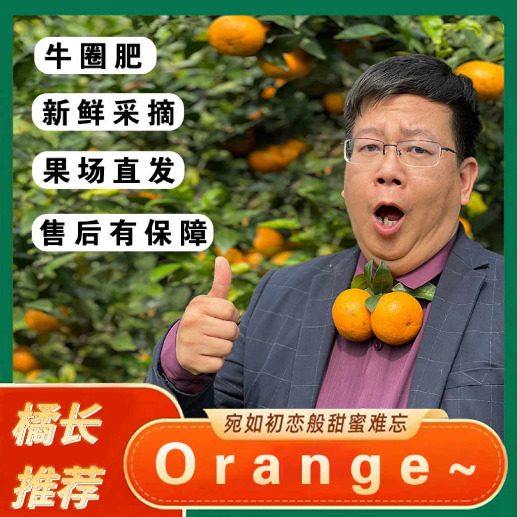 【橘长推荐】广西武鸣沃柑 新鲜水果香甜多汁8斤起 坏果包赔