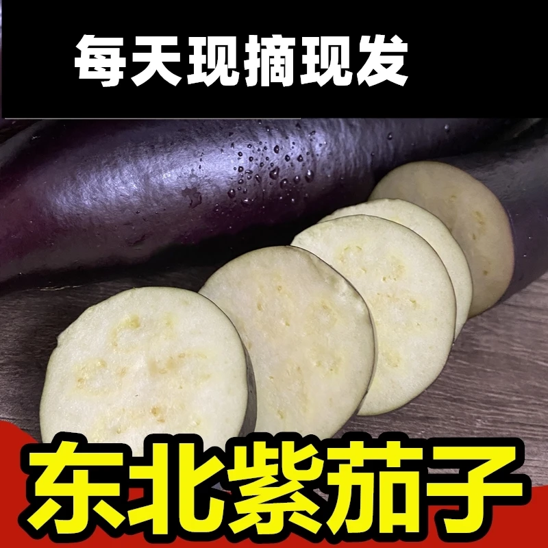 东北茄子新鲜整箱紫皮茄子农家大黑绿色新鲜蔬菜炖菜绿色细长绿色