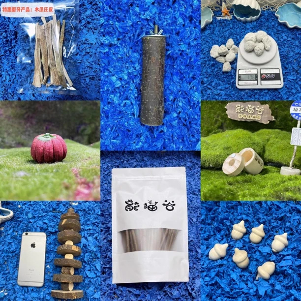 【活动链接】龙猫磨牙玩具 苹果枝 咬串 磨牙栗子等爱啃
