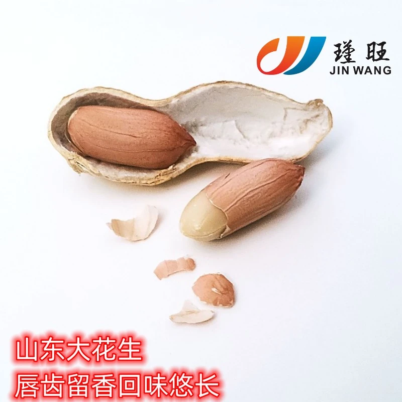 正宗大袋炒花生铁锅炒原味新货醇香花生500g营养休闲传统炒制产品