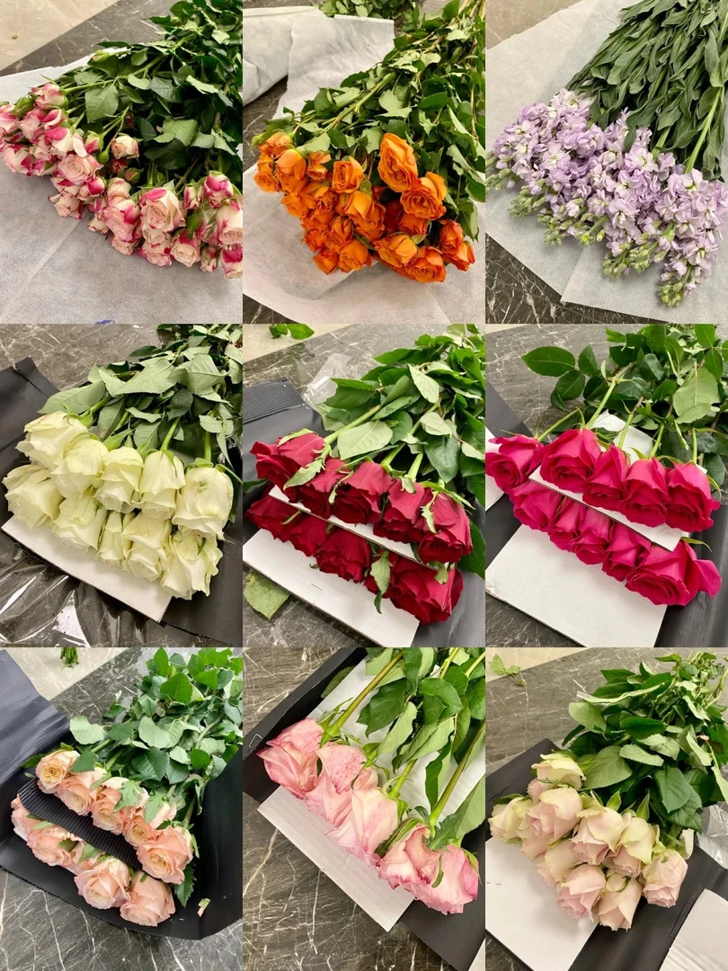 高原红10枝+辉煌10枝+莱拉5枝+红豆1扎+向日葵3枝 鲜切花组合