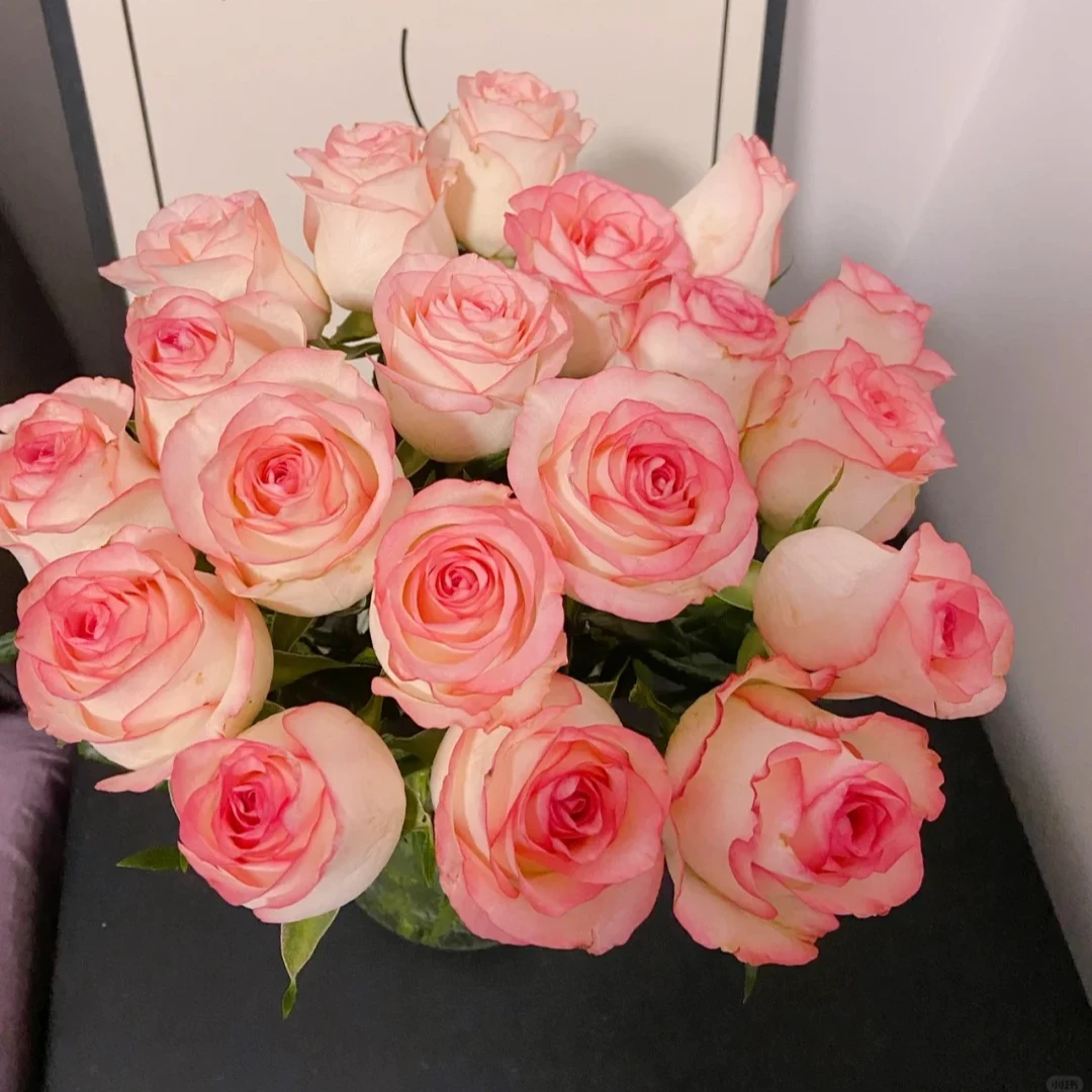 (亦了优选)20枝艾莎玫瑰鲜切花   现采现发  到货带叶子深水醒花