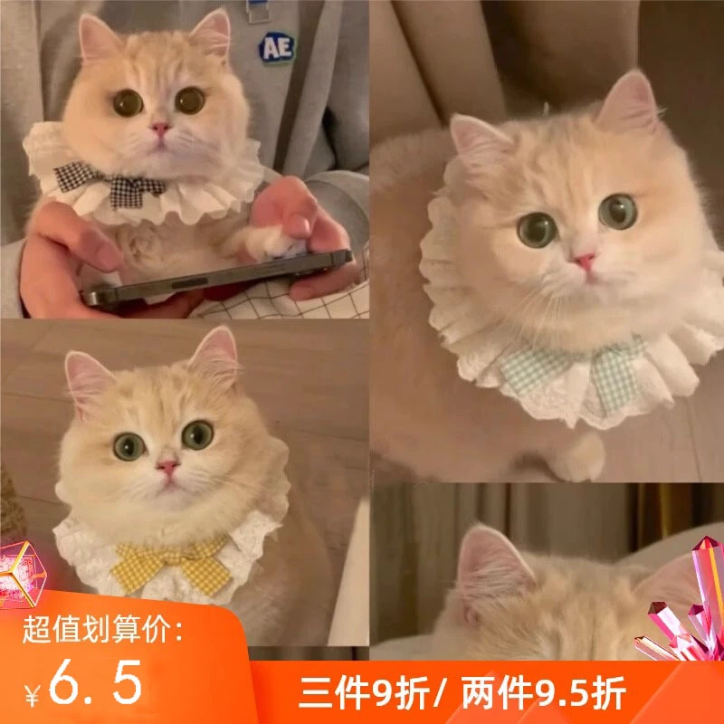 猫咪围兜口水巾薄荷同款狗狗围脖可爱猫口水兜甜宠物装饰品网红风