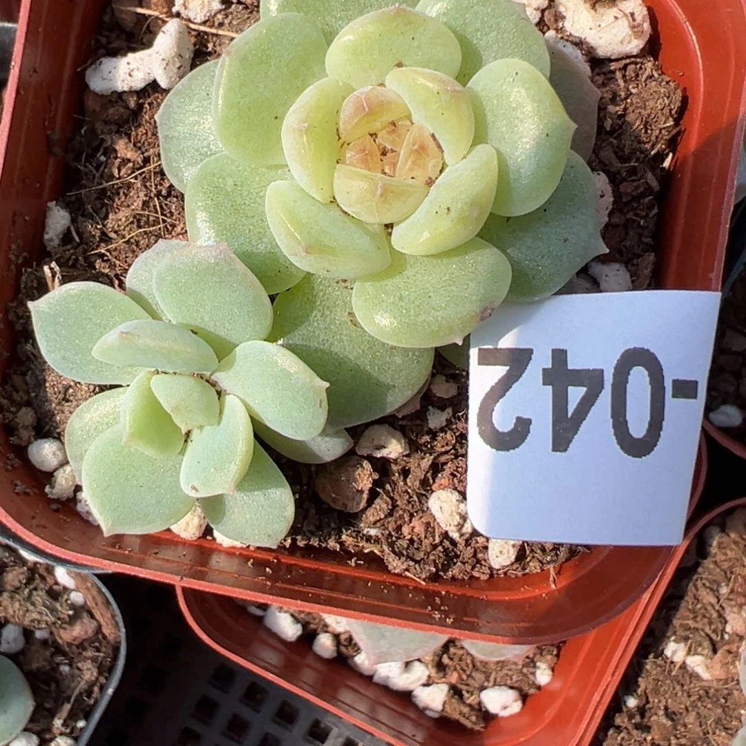 哈哈哈哈哈23-042