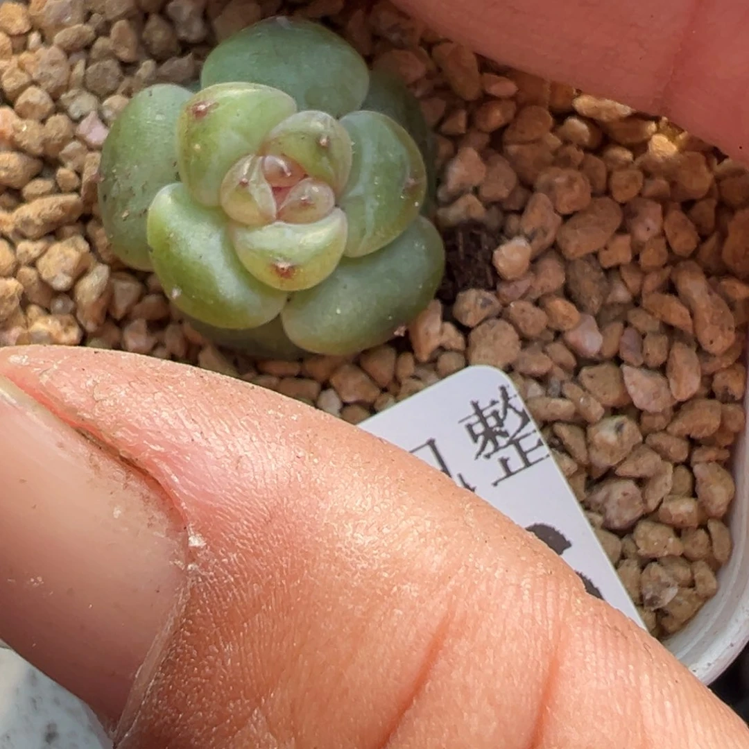 哈哈哈哈哈30-066