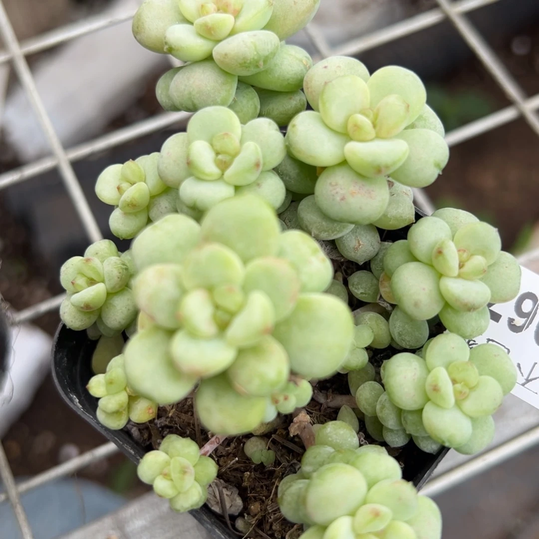 长***哈哈哈哈哈17-067