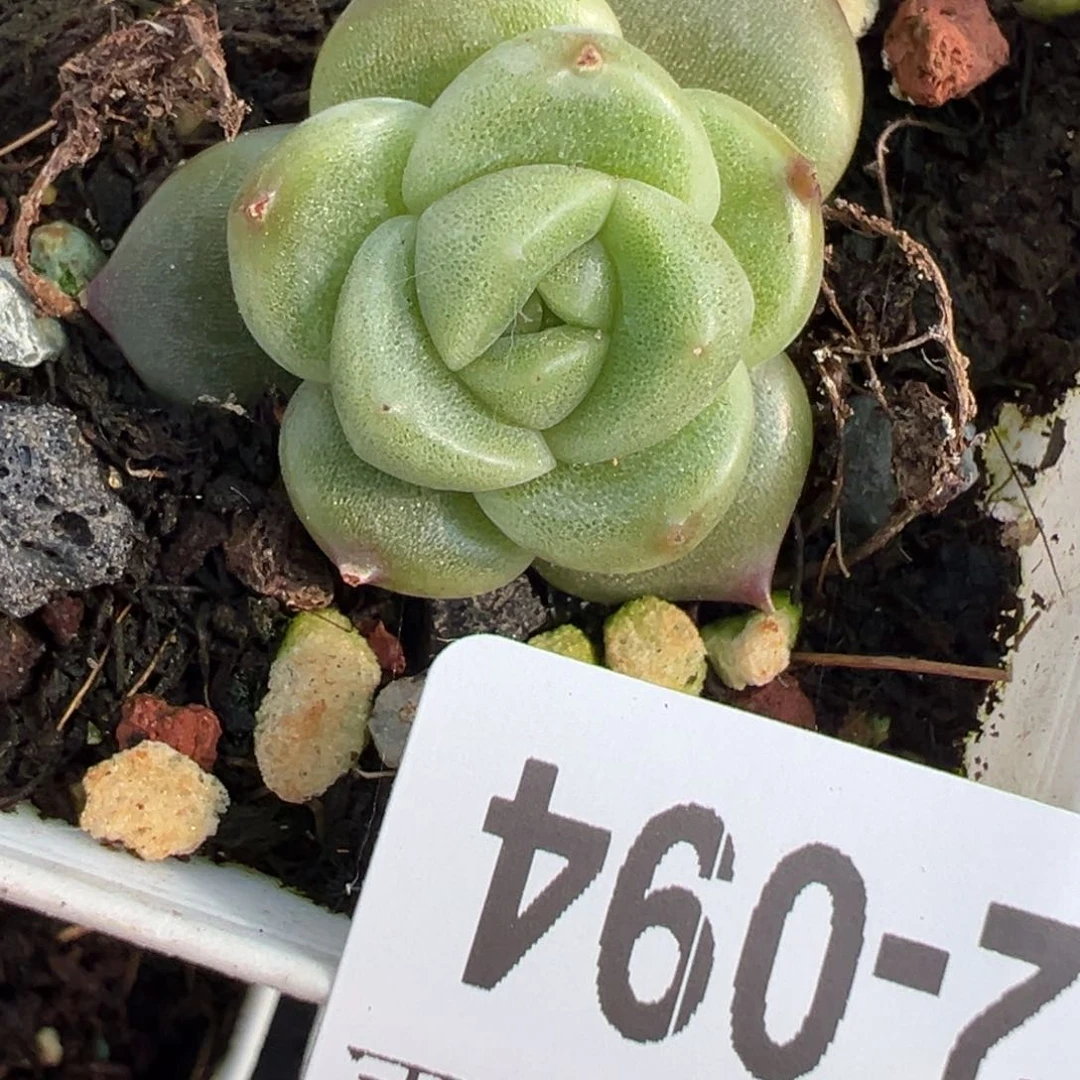 哈哈哈哈哈12-094