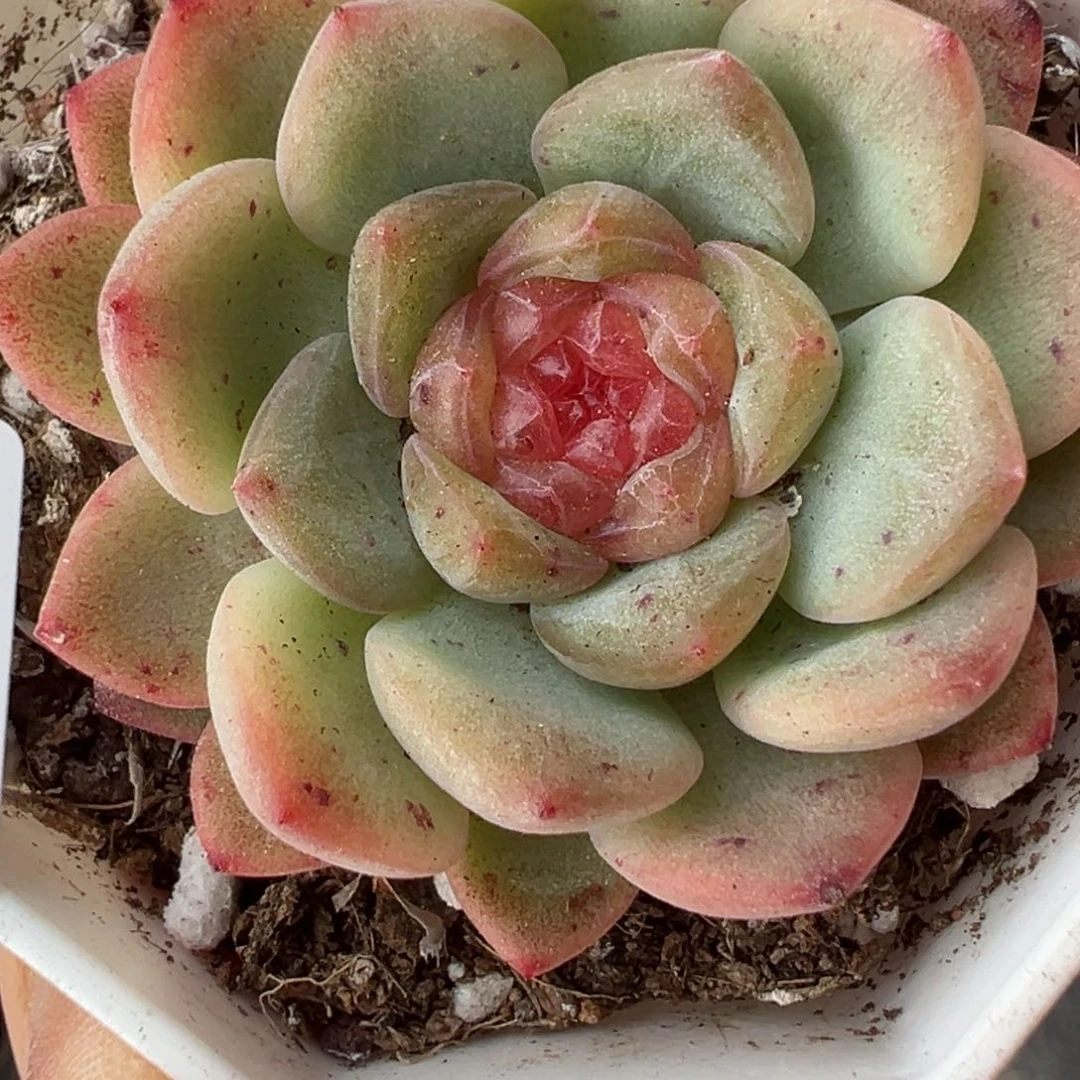 哈哈哈哈哈21-076