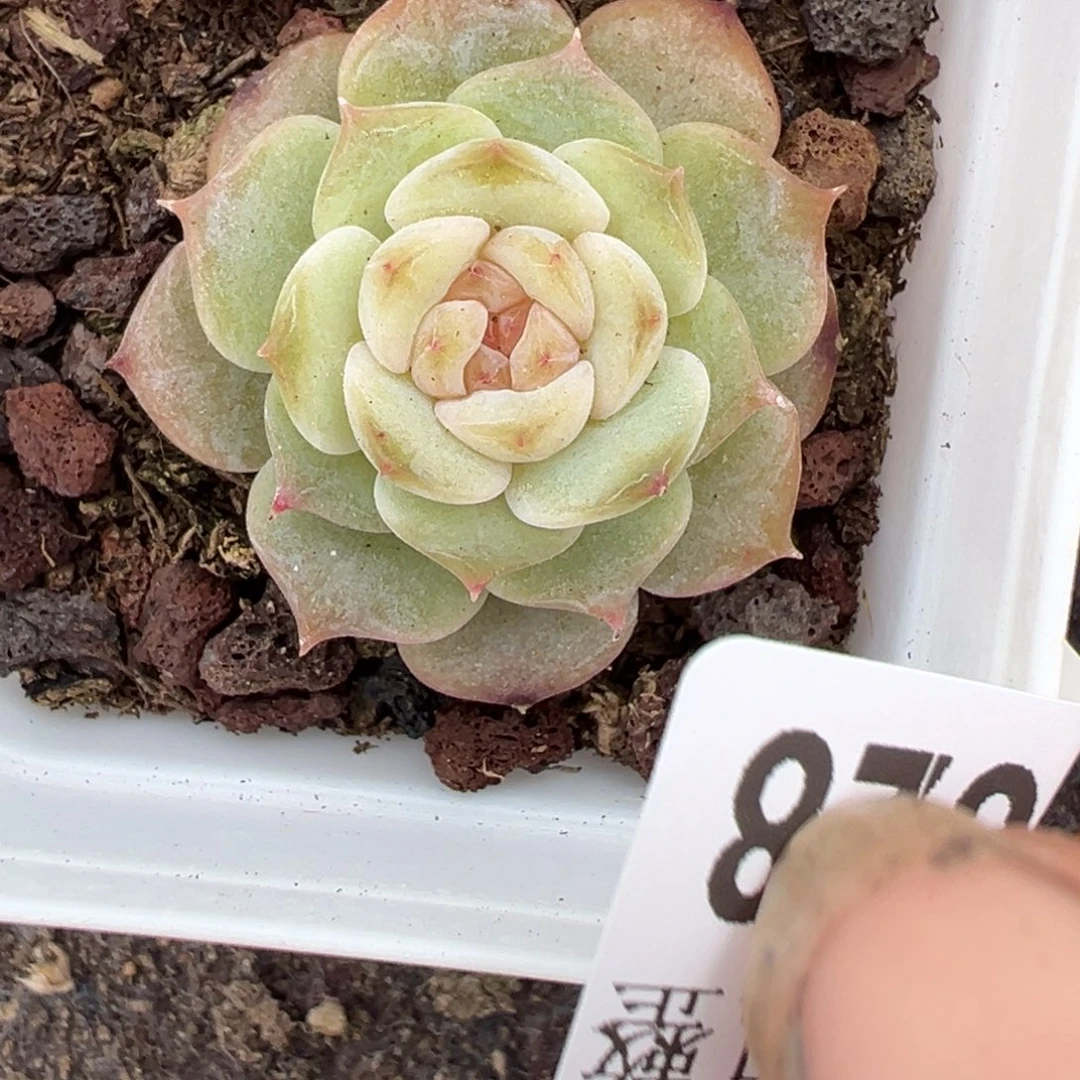 哈哈哈哈哈15-028