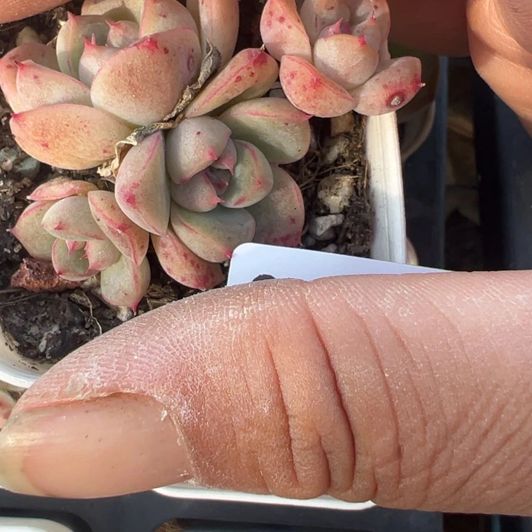 哈哈哈哈哈23-075