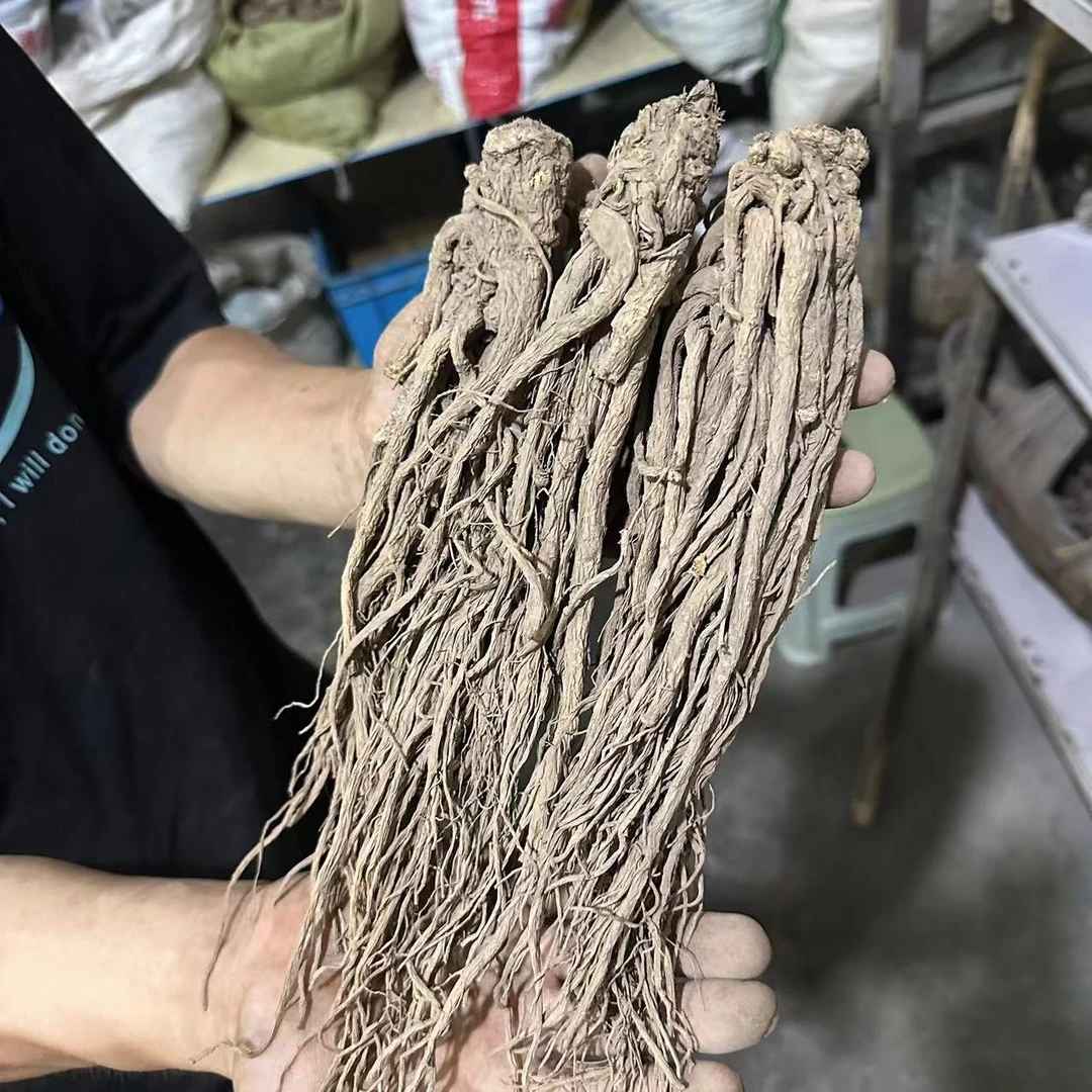 当归 甘肃岷县中条当归 整个的无熏硫泡水煲汤150g